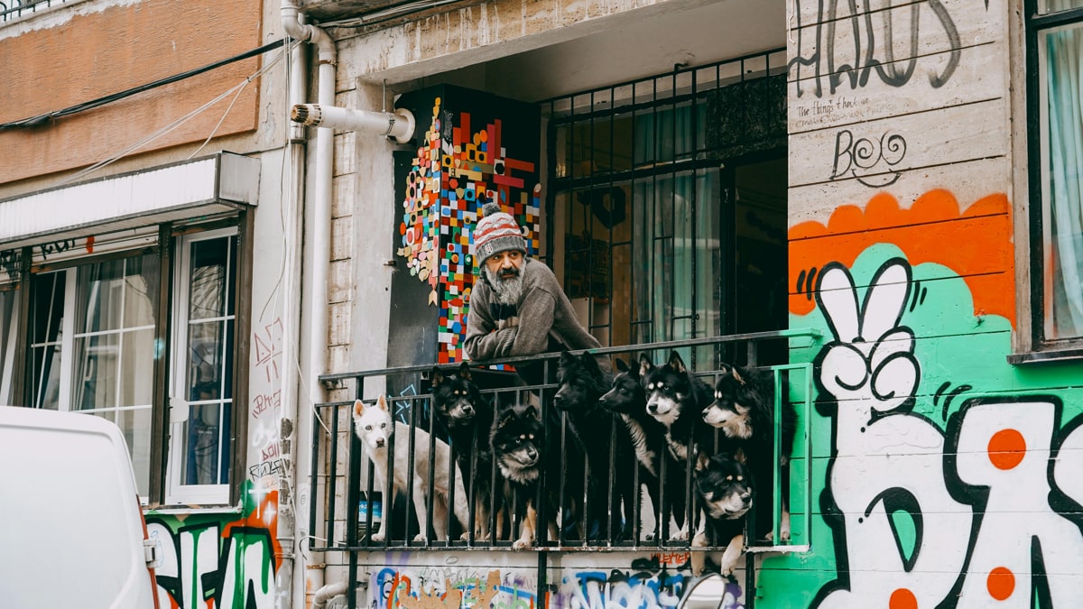 A closer look at Purchasing A High Rise With A Dog